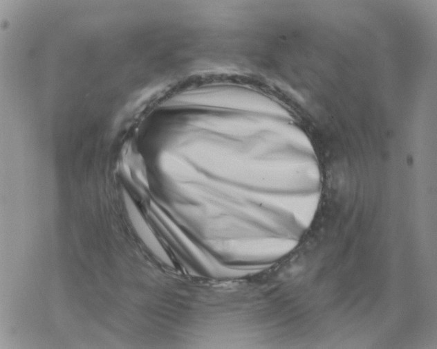 X0000073911303200609082203