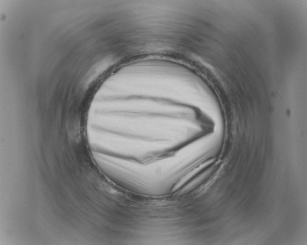 X0000073911306200609082203