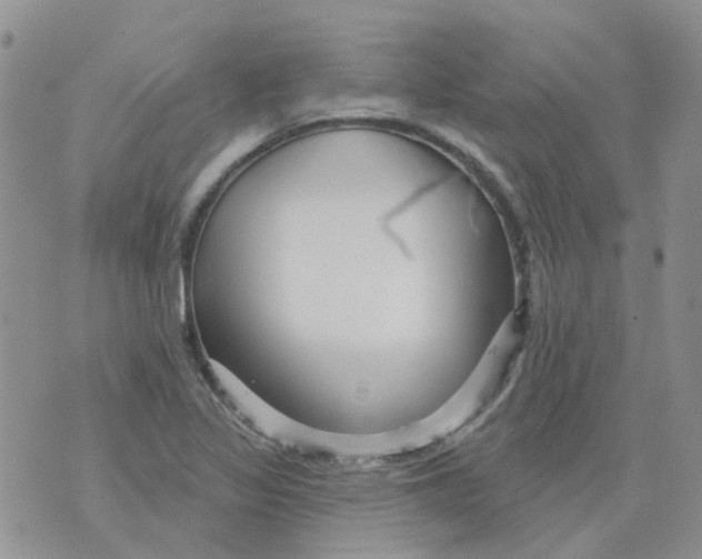 X0000073911317200609082203