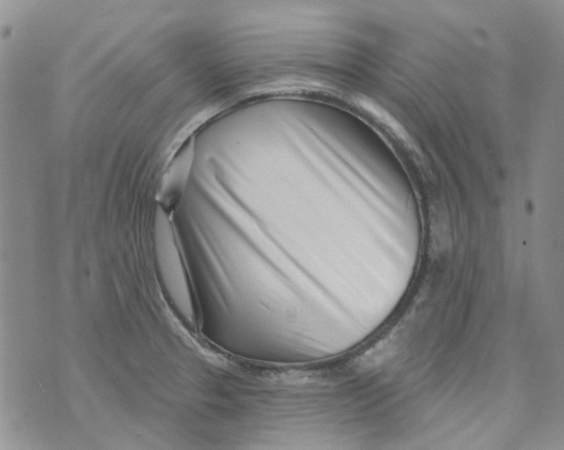 X0000073911329200609082203