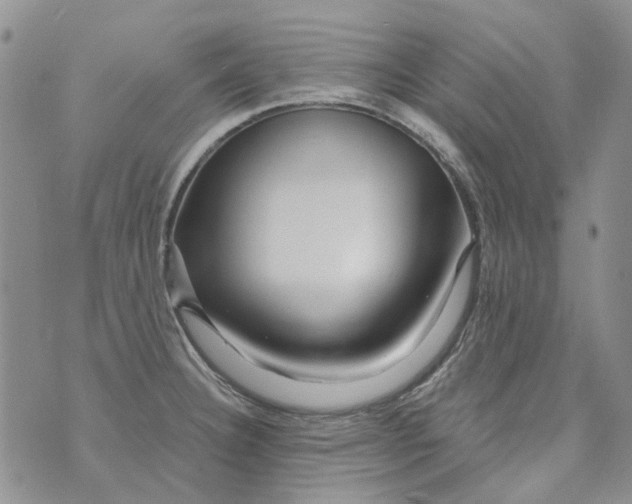 X0000073911332200609082203