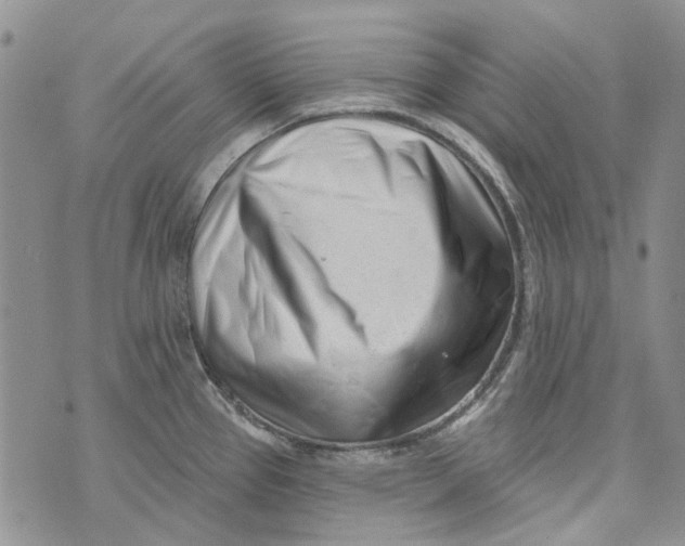X0000073911337200609082203