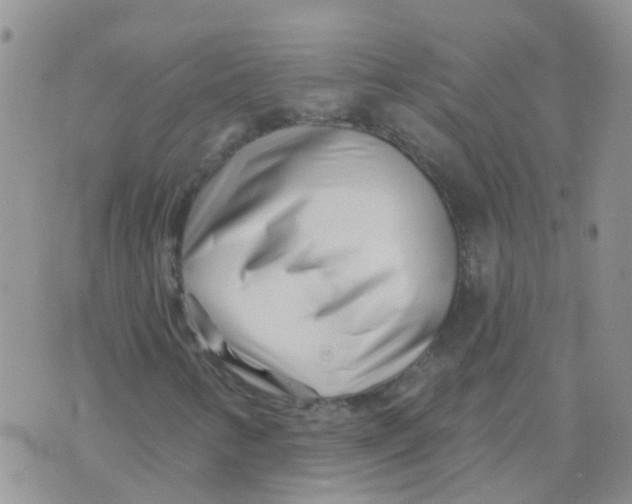 X0000073911346200609082202