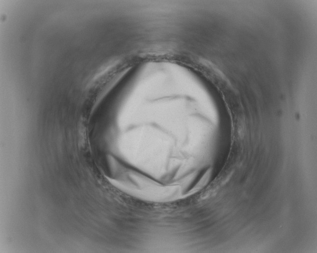 X0000073911350200609082202