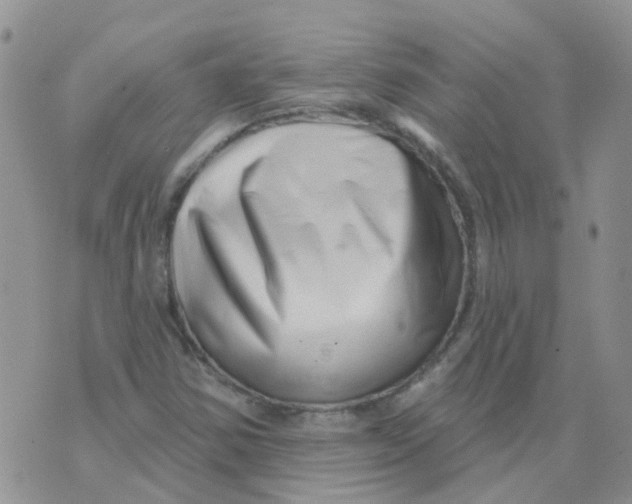 X0000073911354200609082202