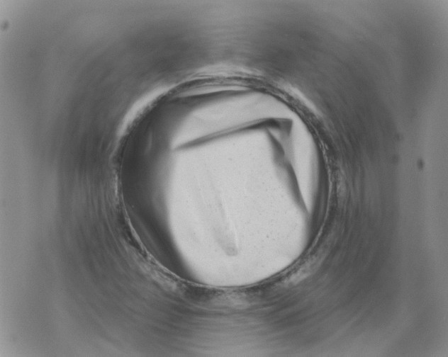 X0000073911358200609082202