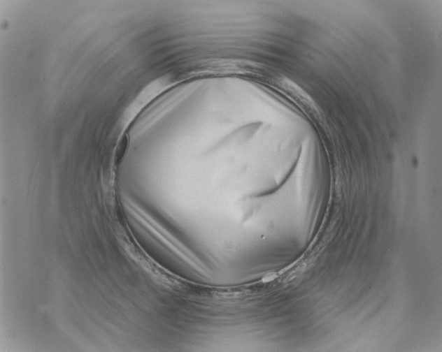 X0000073911378200609082202