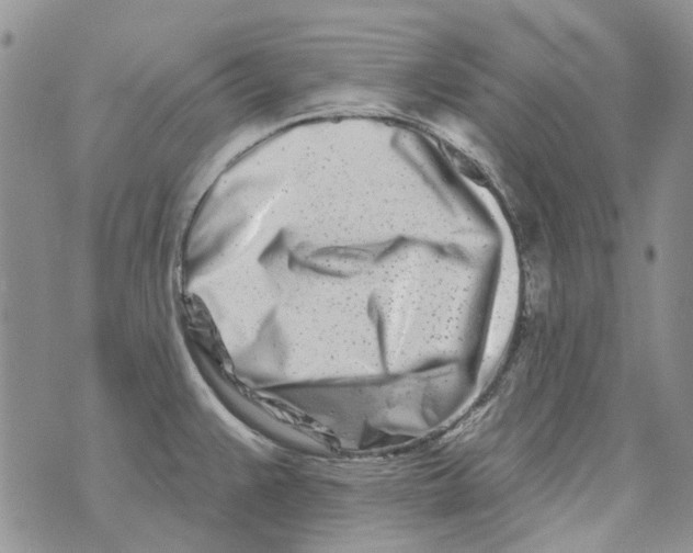 X0000073911383200609082202