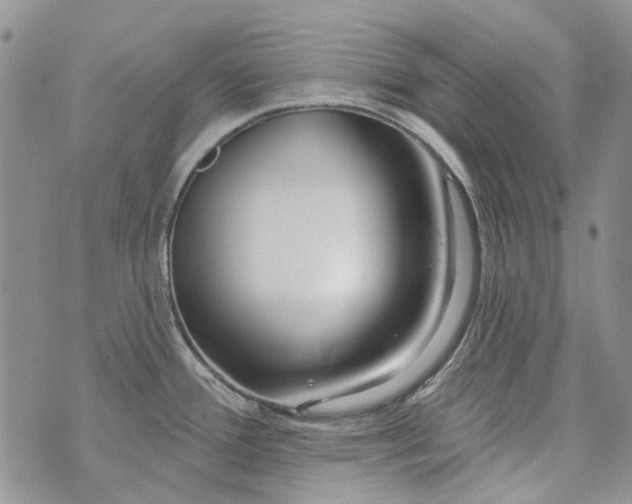 X0000073911388200609082202