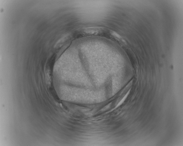 X0000073911394200609082201