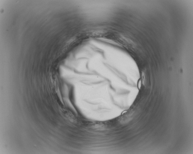 X0000073911395200609082201