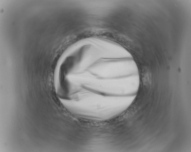 X0000073911397200609082201