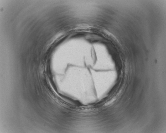 X0000073911401200609082201