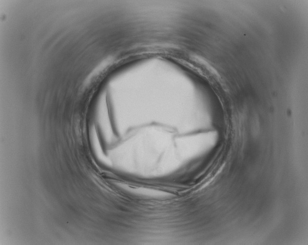 X0000073911403200609082201