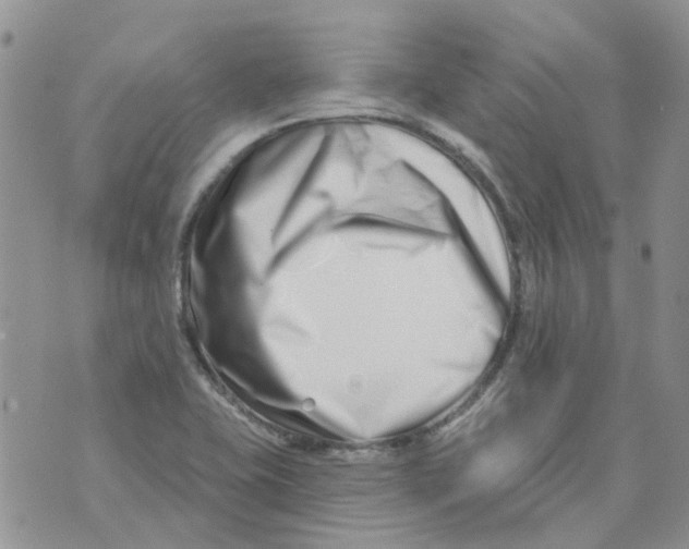 X0000073911415200609082201