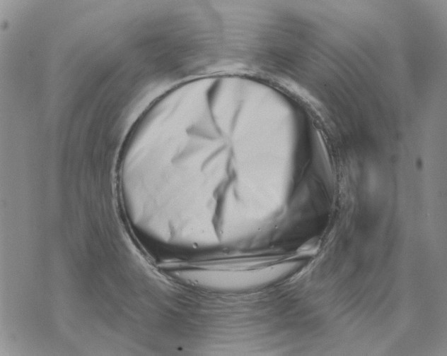 X0000073911423200609082201