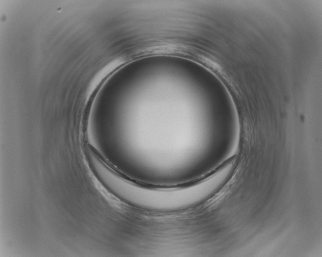 X0000073911426200609082201