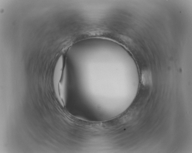 X0000073911444200609082201