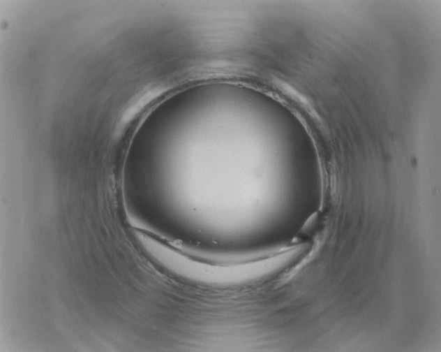 X0000073911453200609082201