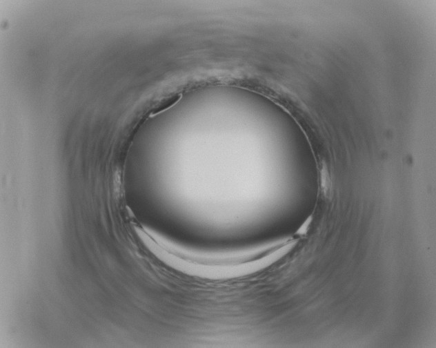 X0000073911492200609082159