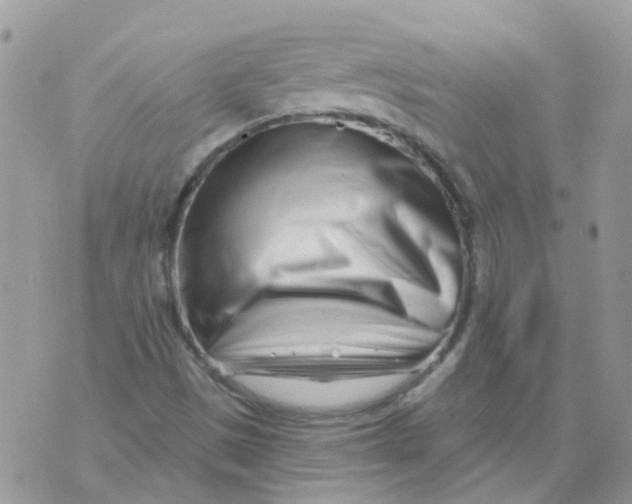 X0000073911497200609082159