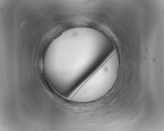 X0000073920021200608111016