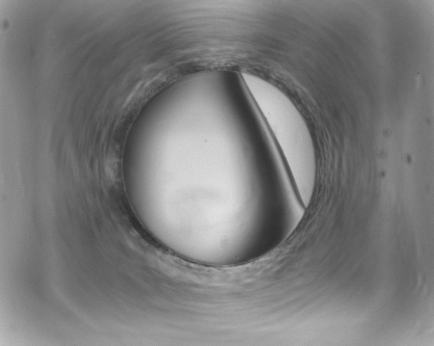 X0000073920035200608111016