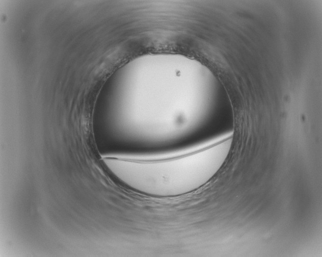 X0000073920039200608111016