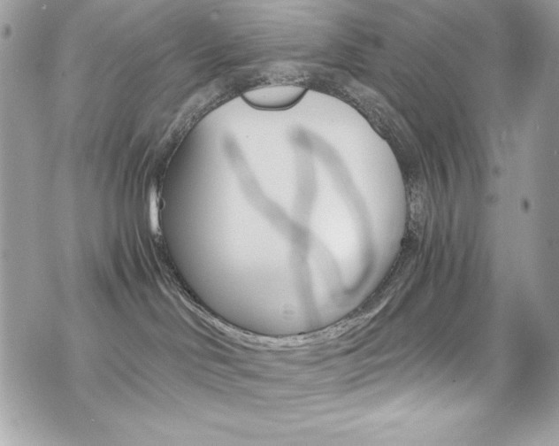 X0000073920046200608111016