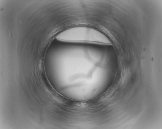 X0000073920071200608111015