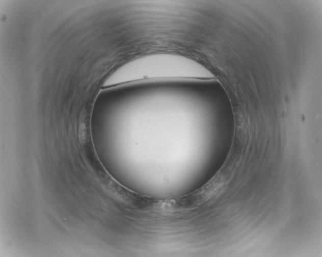 X0000073920080200608111015