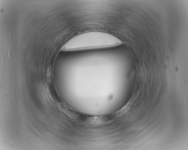 X0000073920082200608111016
