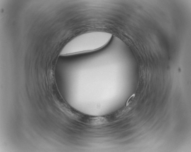 X0000073920087200608111016