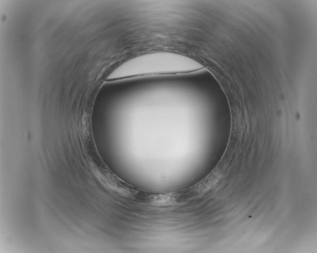 X0000073920088200608111016