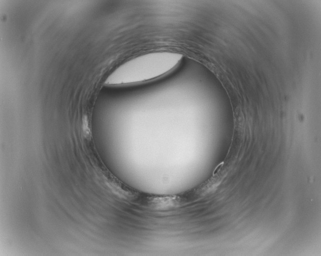 X0000073920089200608111016