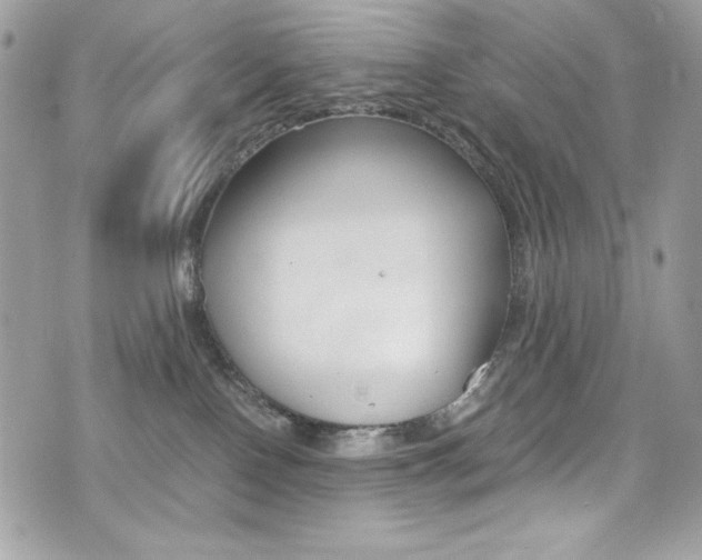 X0000073920090200608111016