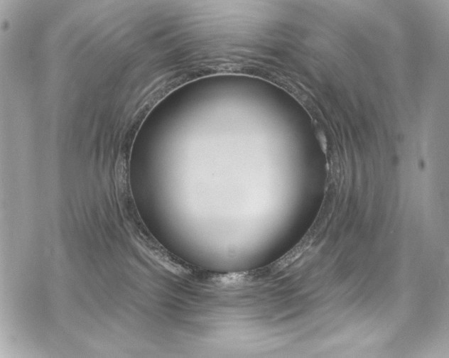 X0000073920092200608111016