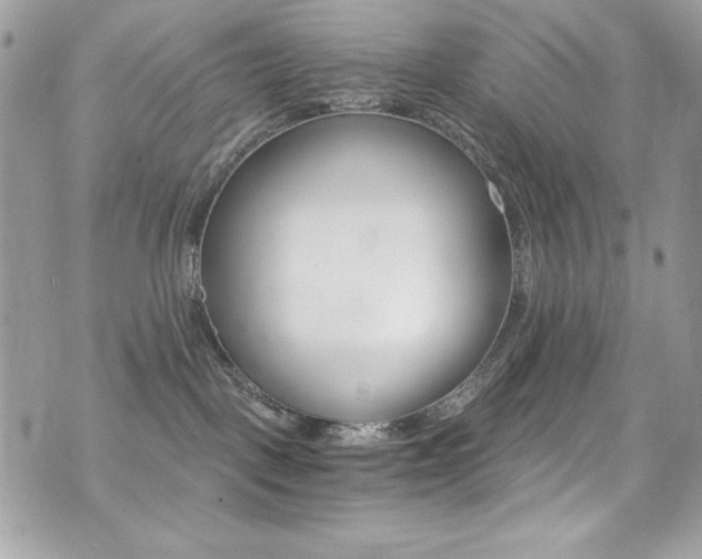 X0000073920093200608111016
