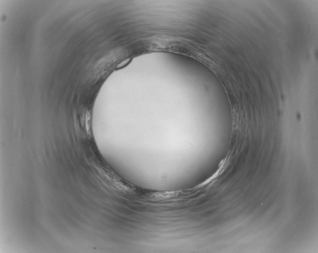 X0000073920094200608111016