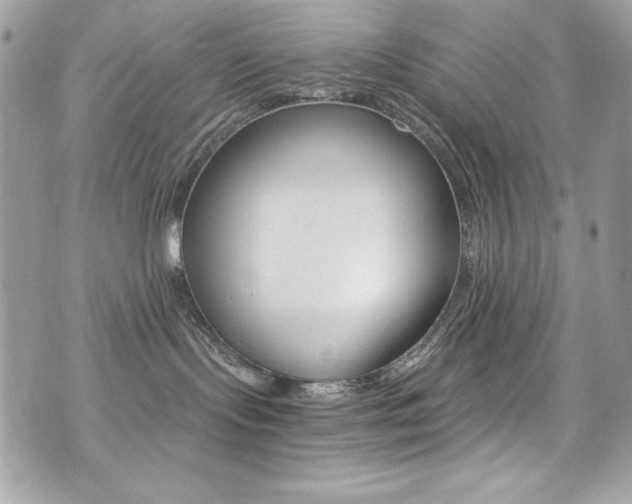 X0000073920095200608111016