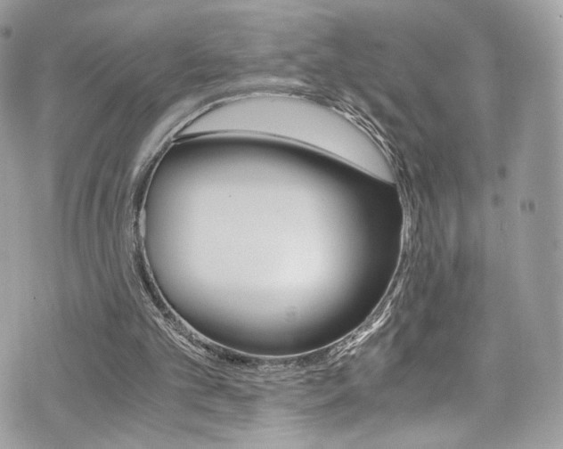 X0000073920101200608111015