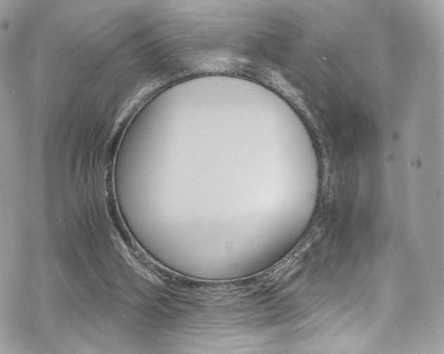 X0000073920106200608111015