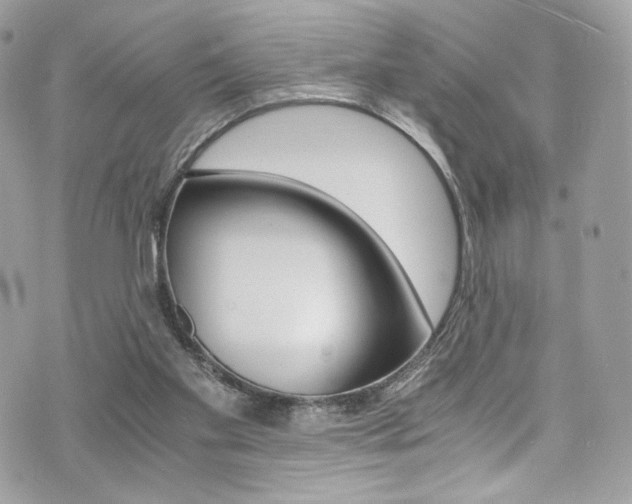 X0000073920109200608111015