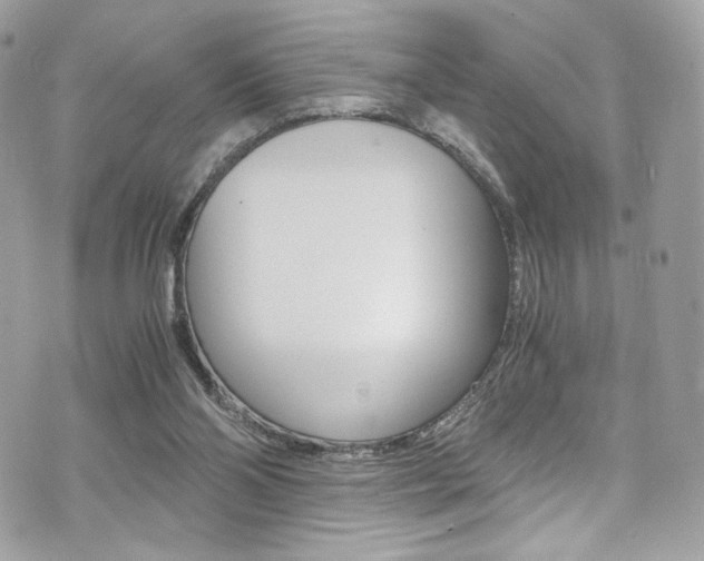 X0000073920110200608111015