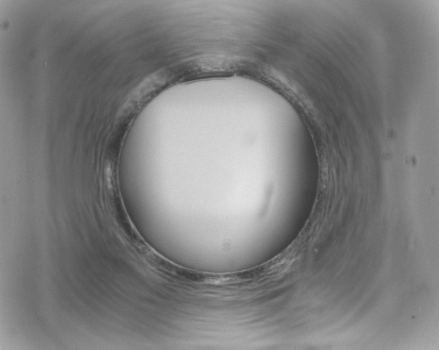X0000073920117200608111015