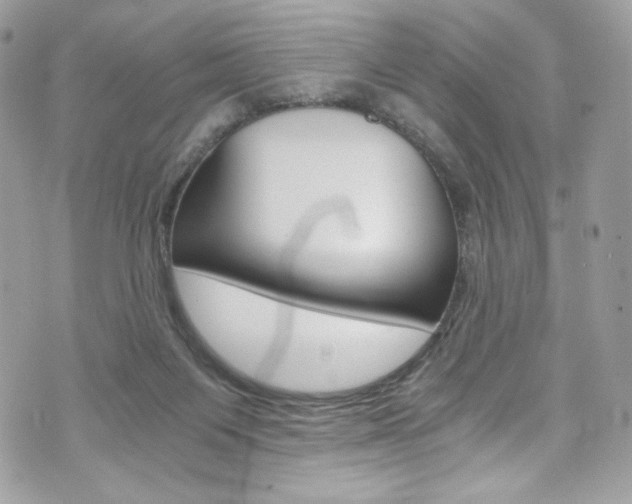 X0000073920119200608111015