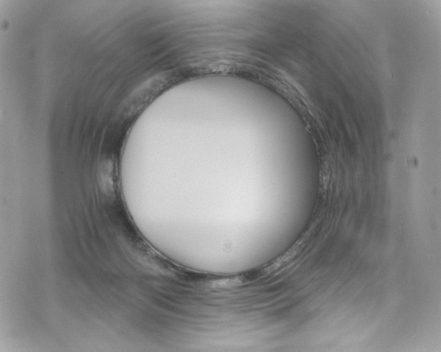 X0000073920122200608111015
