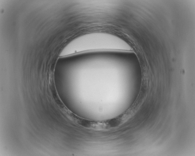 X0000073920125200608111015