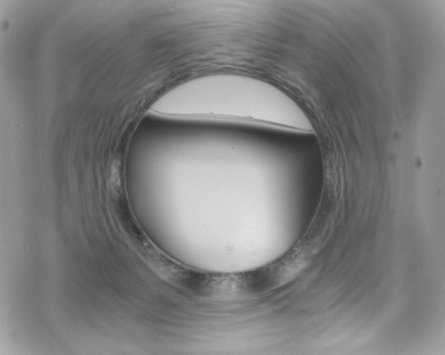 X0000073920127200608111014