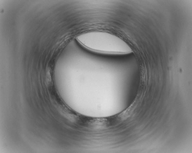X0000073920128200608111014